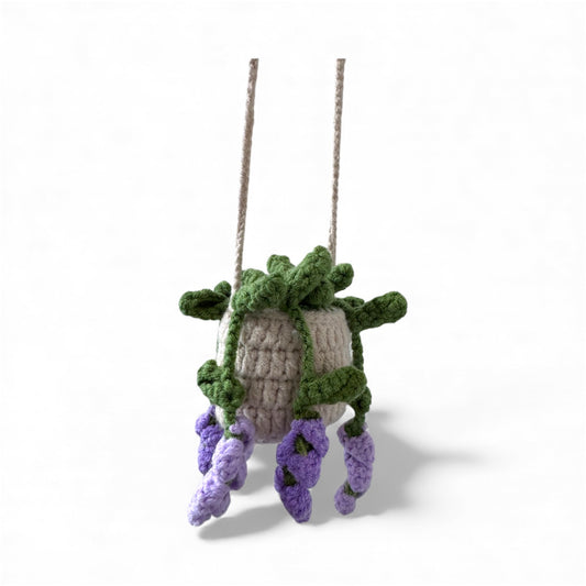 Wisteria Hanging Basket