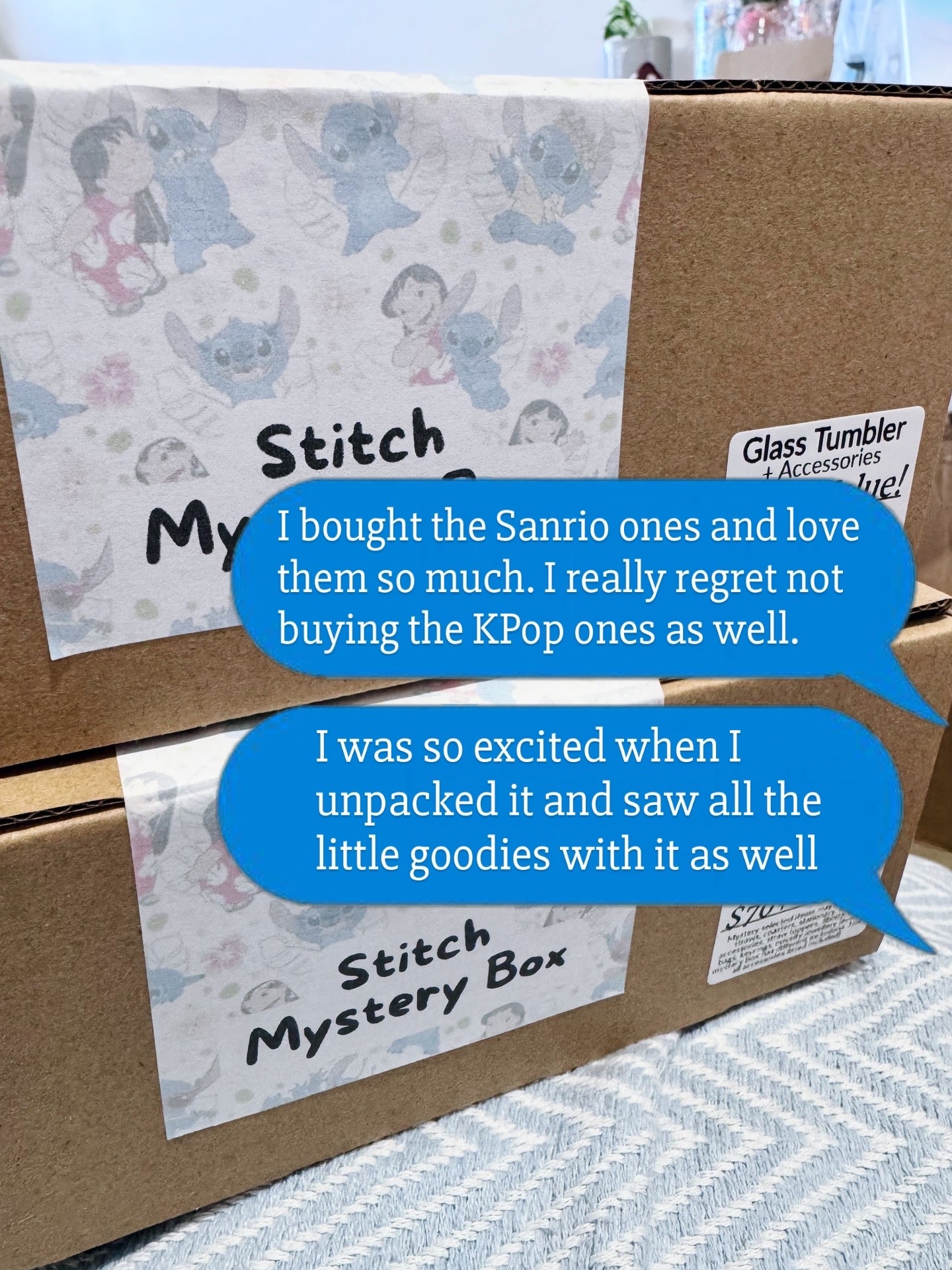 Mystery Box - PLASTIC Can Cup Tumbler